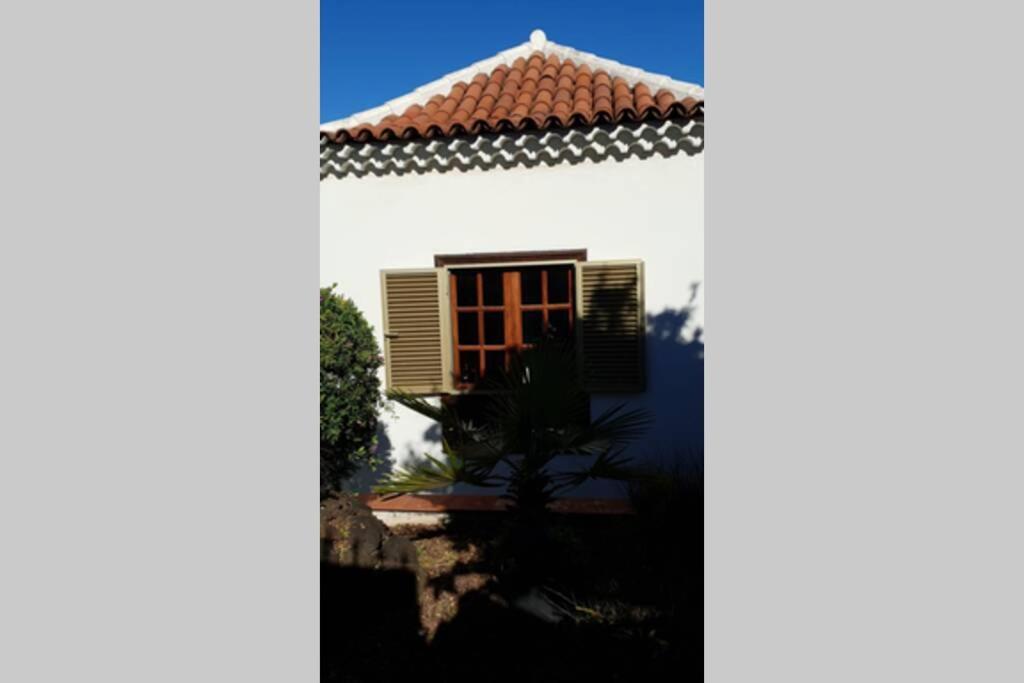 Villa La Paz Puerto de la Cruz  Ngoại thất bức ảnh
