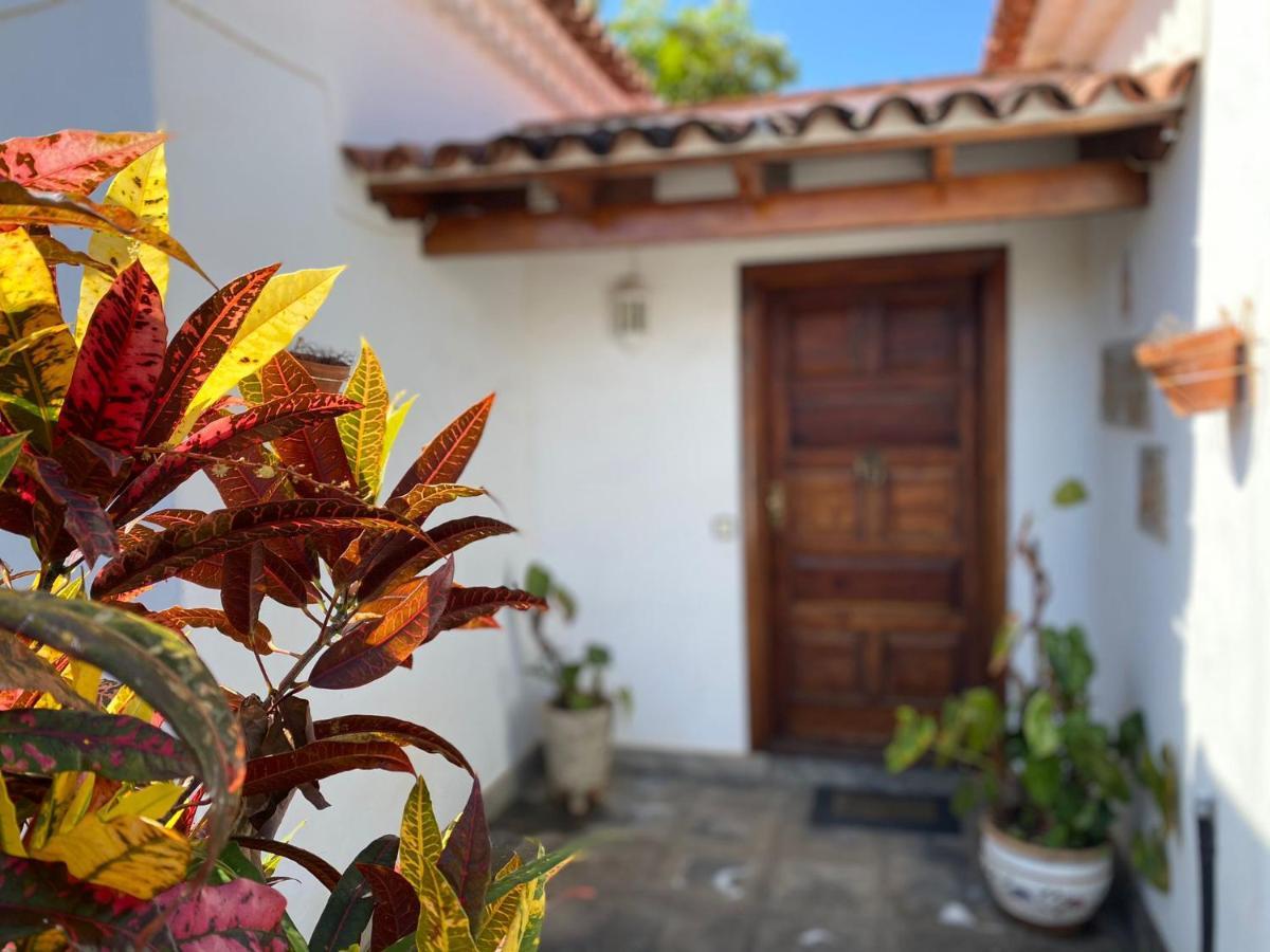 Villa La Paz Puerto de la Cruz  Ngoại thất bức ảnh