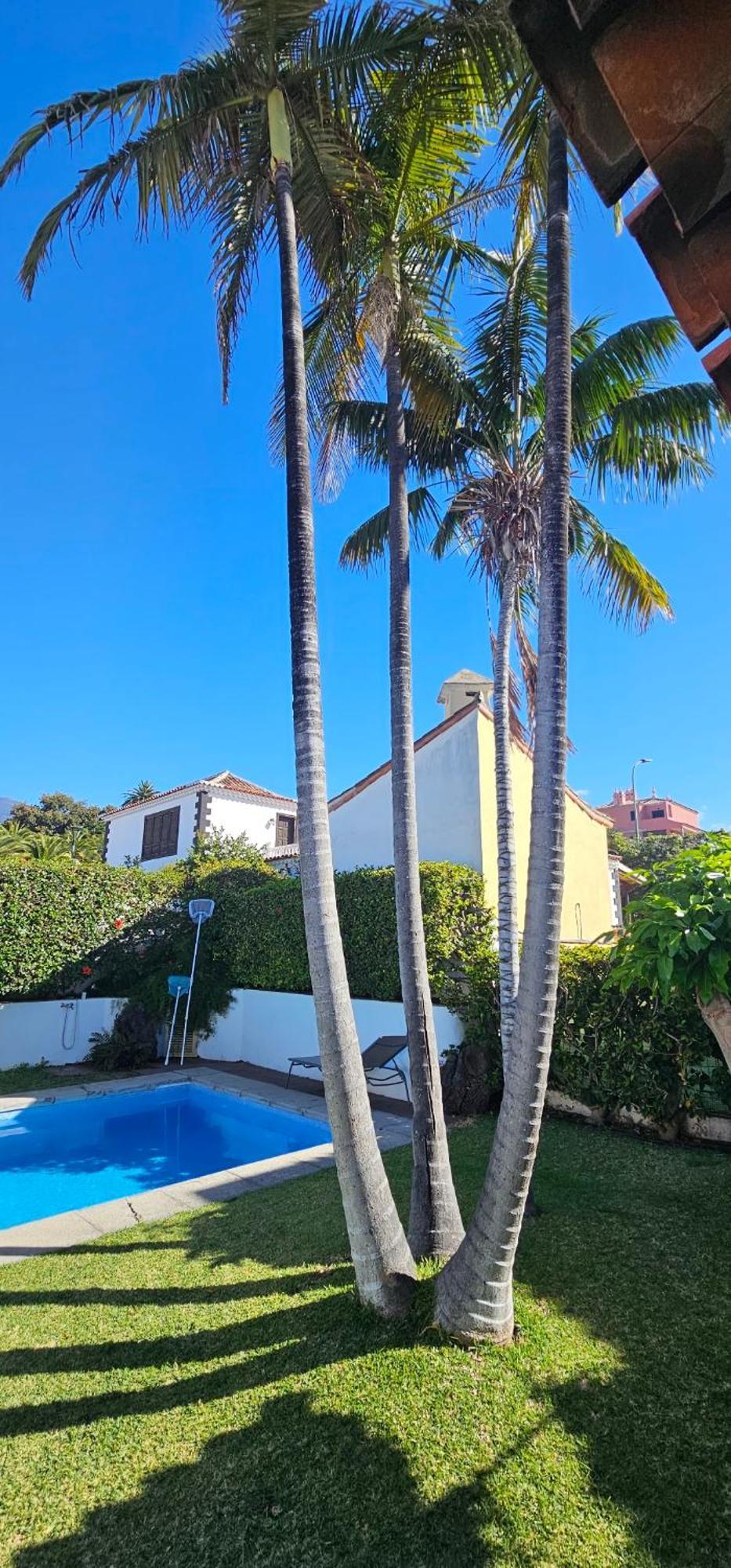 Villa La Paz Puerto de la Cruz  Ngoại thất bức ảnh